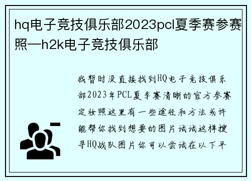 hq电子竞技俱乐部2023pcl夏季赛参赛照—h2k电子竞技俱乐部